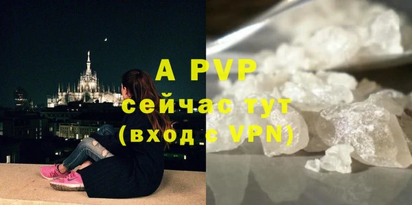 прущая мука Ельня
