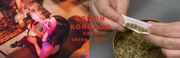 ГАЛЛЮЦИНОГЕННЫЕ ГРИБЫ Дмитриев