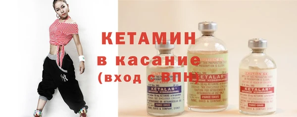 ГАЛЛЮЦИНОГЕННЫЕ ГРИБЫ Дмитриев