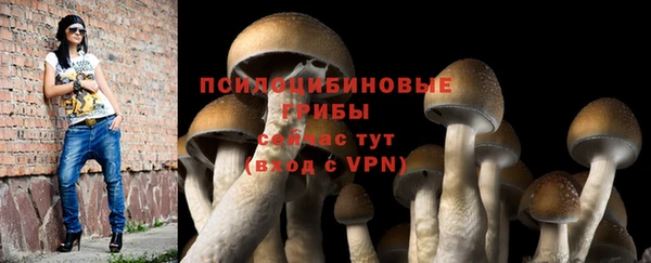 скорость Елизово