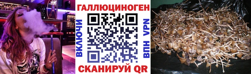 Псилоцибиновые грибы мицелий  Купить где  Порхов 
